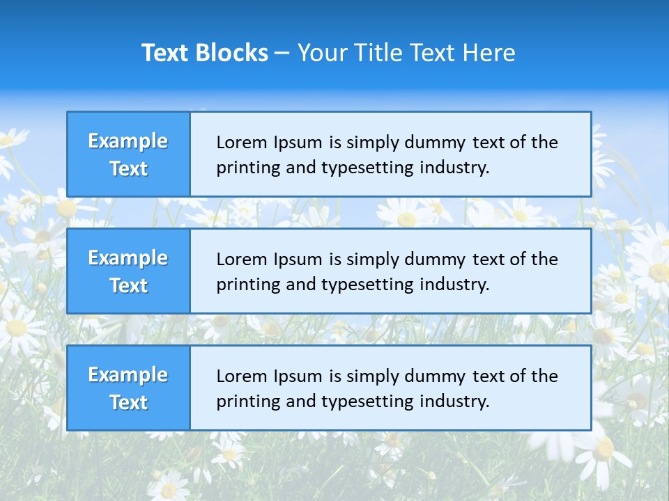 Businesswoman Leader Deal PowerPoint Template
