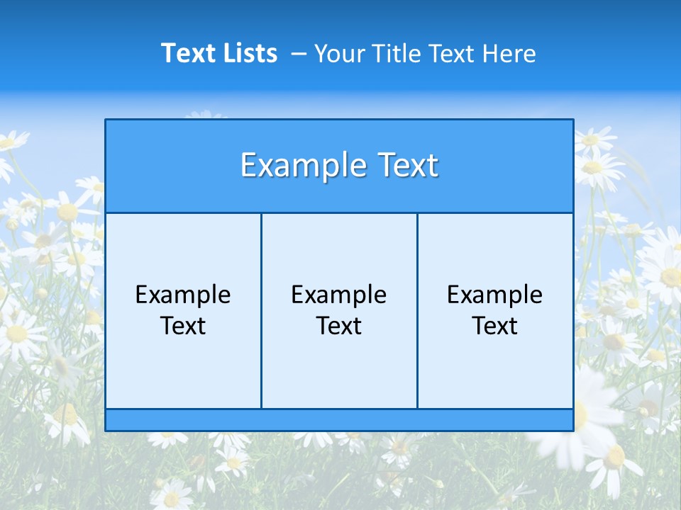 Businesswoman Leader Deal PowerPoint Template