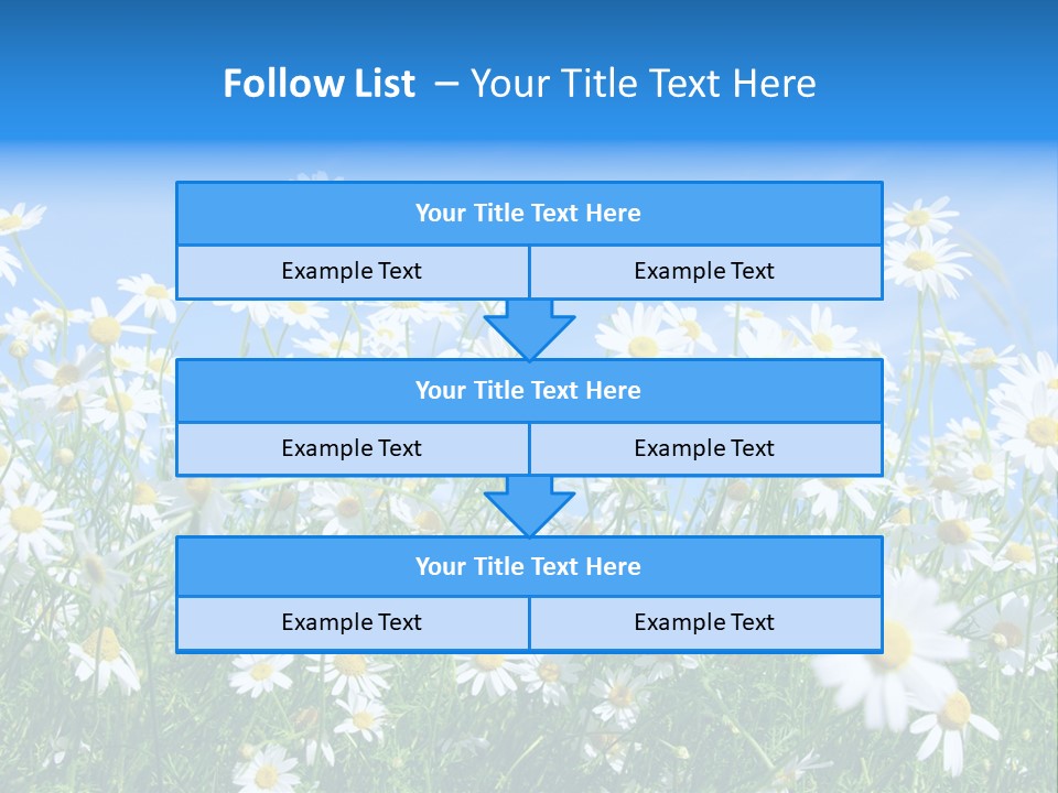 Businesswoman Leader Deal PowerPoint Template