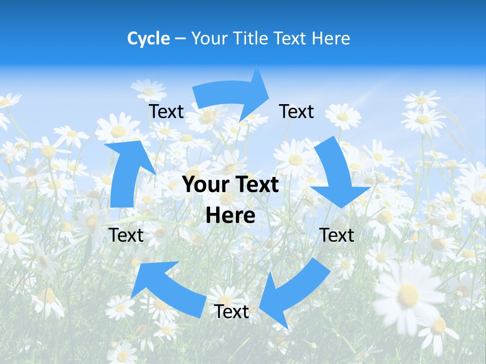 Businesswoman Leader Deal PowerPoint Template