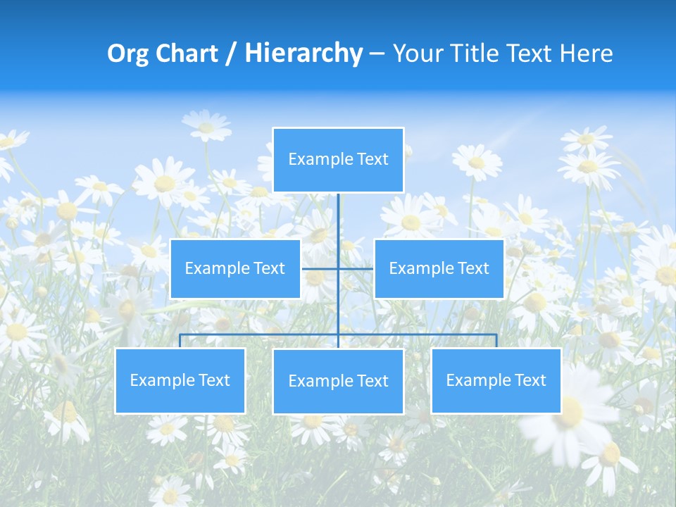 Businesswoman Leader Deal PowerPoint Template