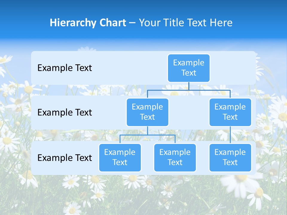 Businesswoman Leader Deal PowerPoint Template
