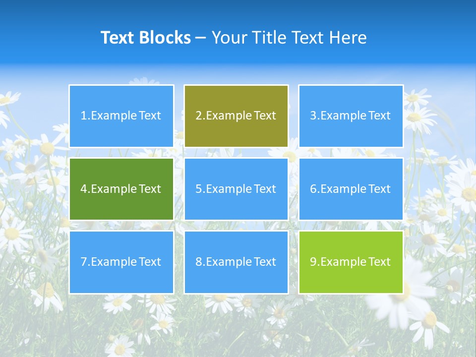 Businesswoman Leader Deal PowerPoint Template