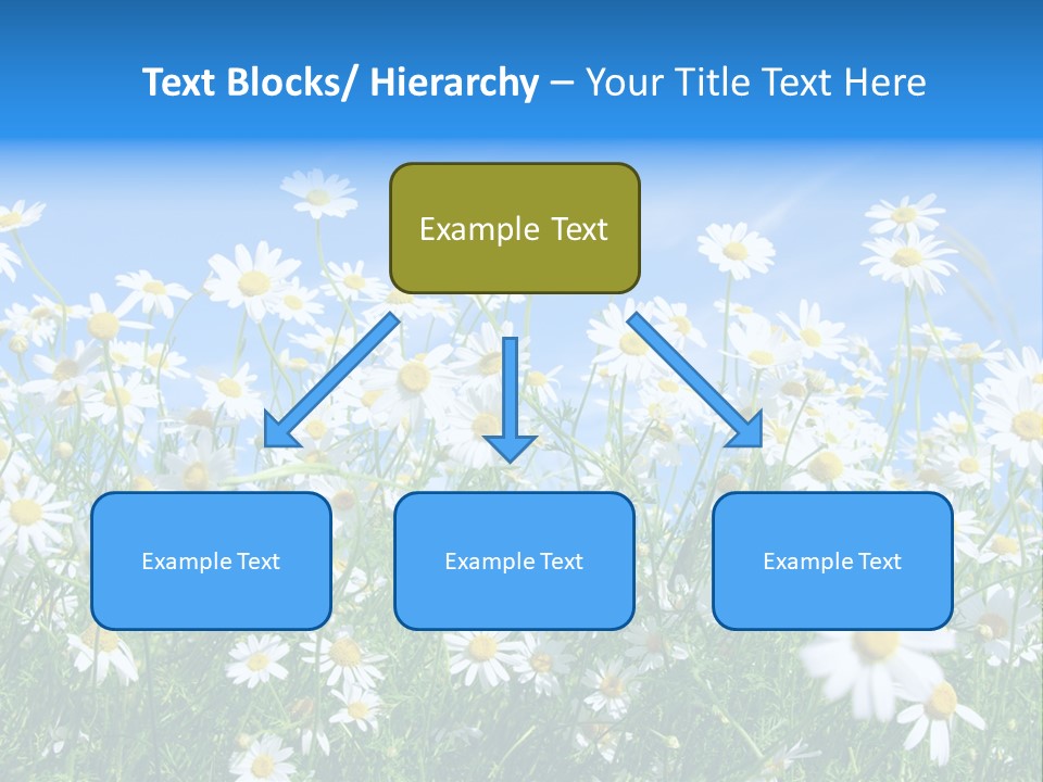 Businesswoman Leader Deal PowerPoint Template