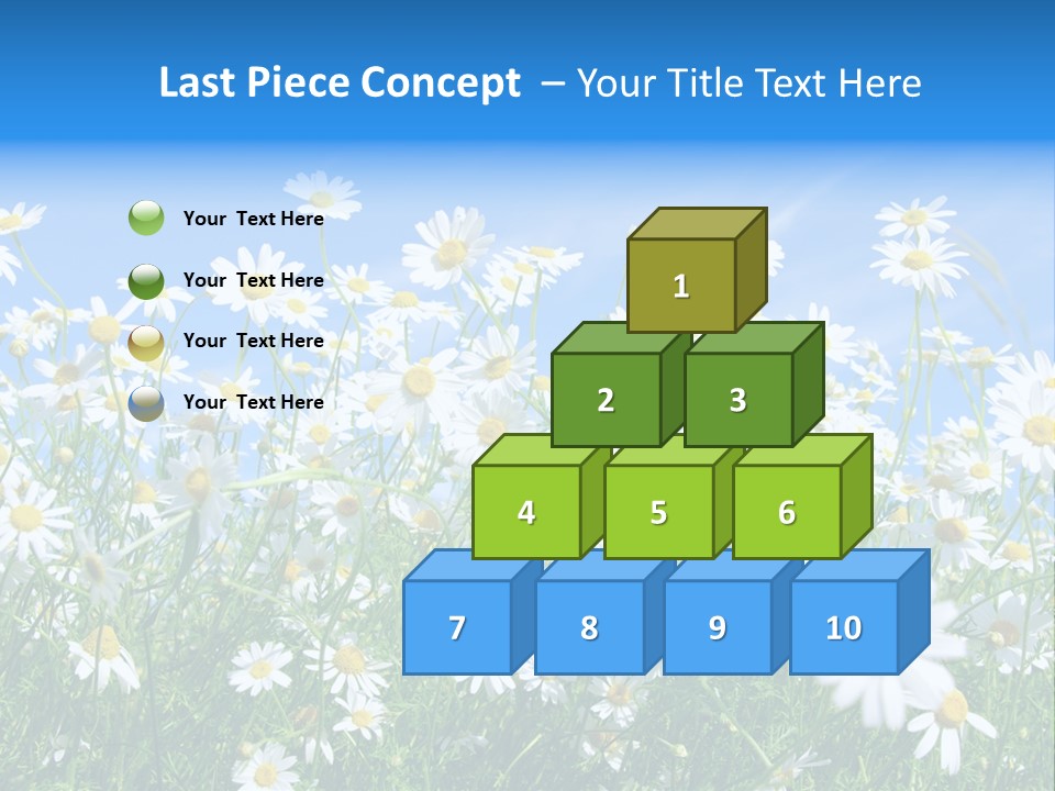 Businesswoman Leader Deal PowerPoint Template