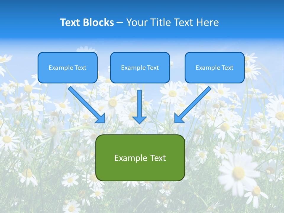 Businesswoman Leader Deal PowerPoint Template
