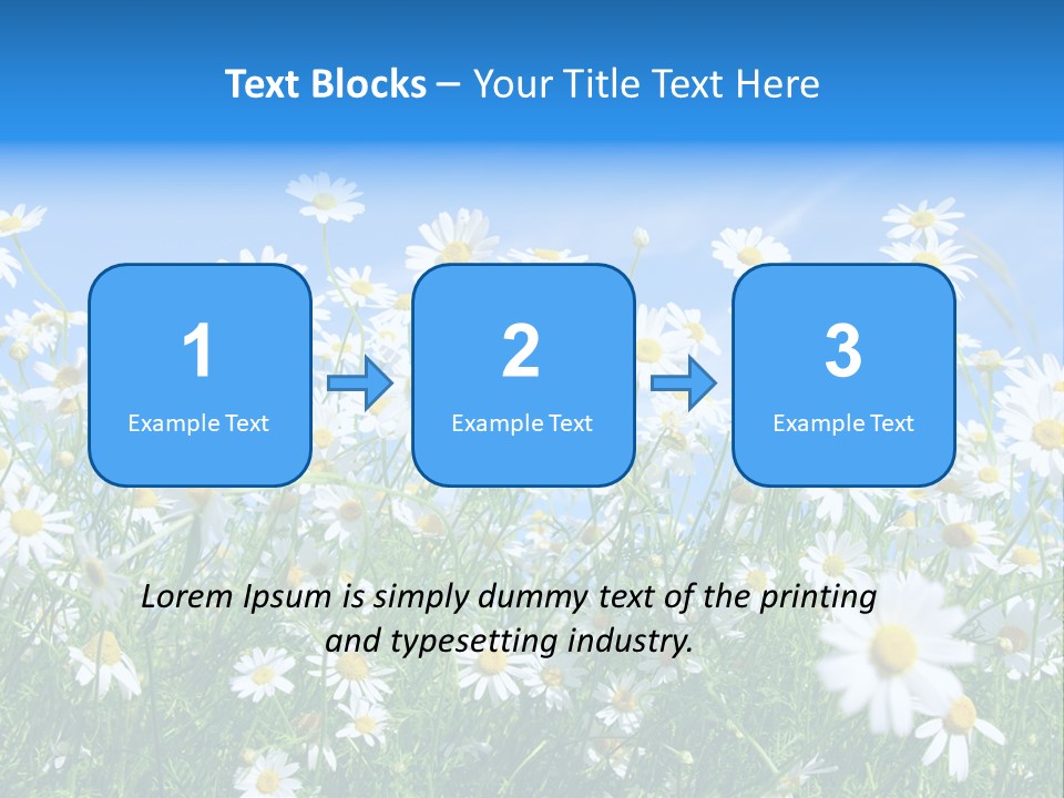 Businesswoman Leader Deal PowerPoint Template