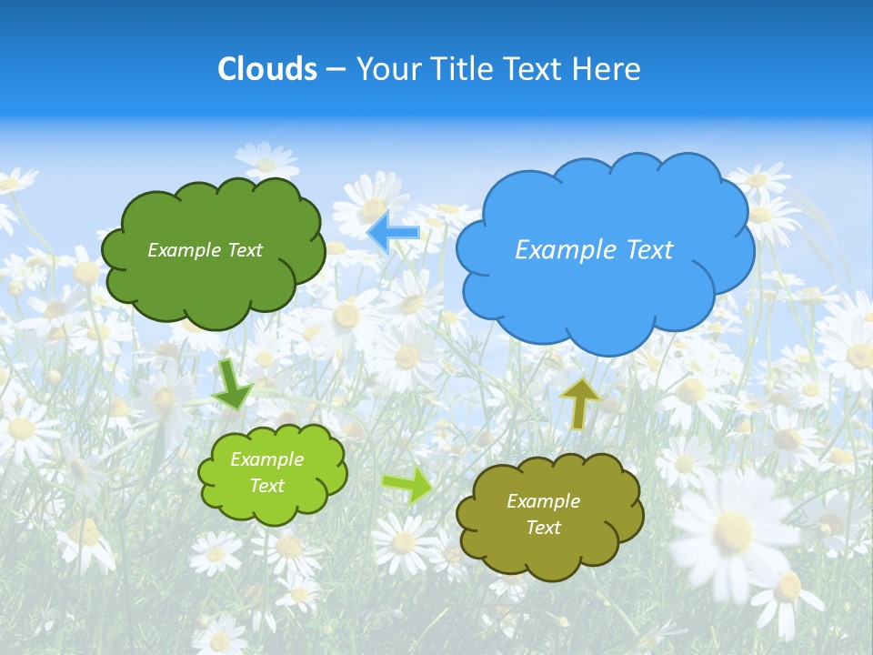 Businesswoman Leader Deal PowerPoint Template