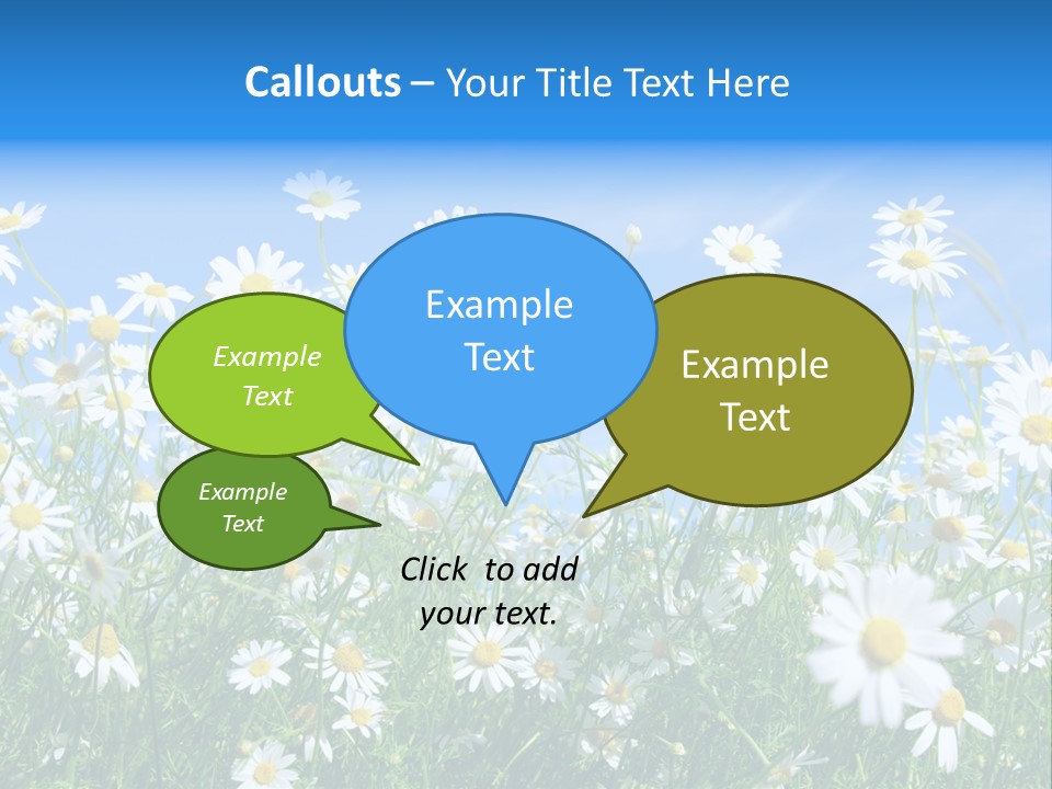 Businesswoman Leader Deal PowerPoint Template