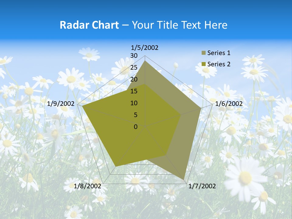Businesswoman Leader Deal PowerPoint Template