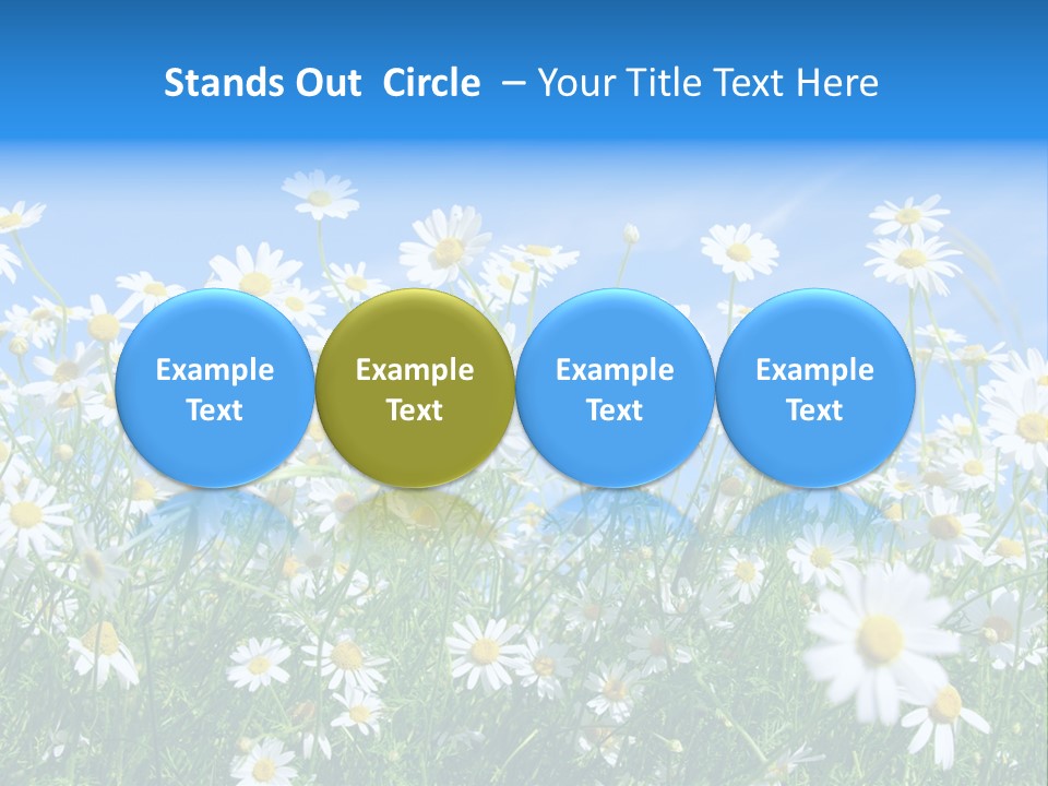 Businesswoman Leader Deal PowerPoint Template