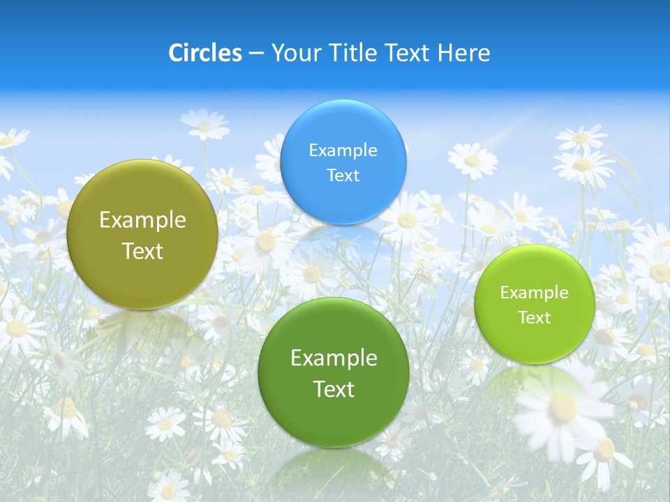 Businesswoman Leader Deal PowerPoint Template