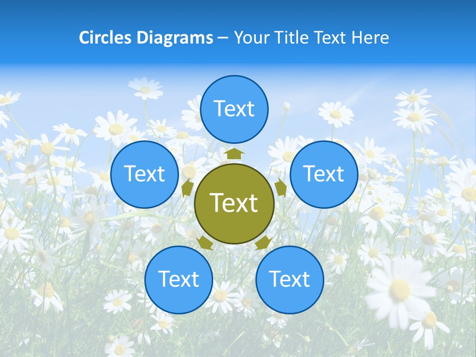 Businesswoman Leader Deal PowerPoint Template