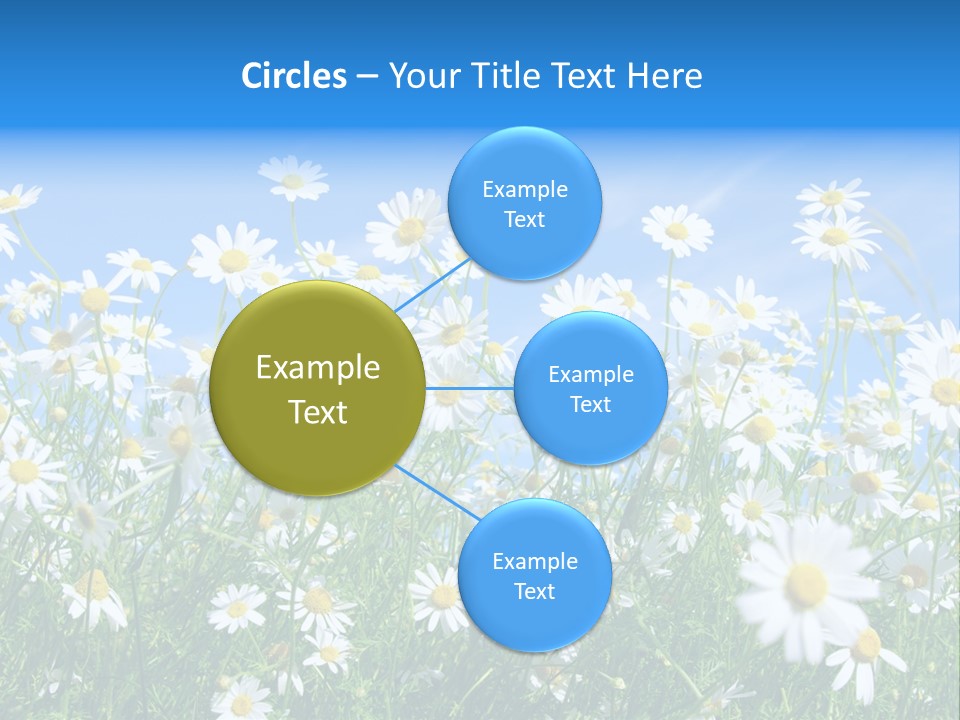 Businesswoman Leader Deal PowerPoint Template