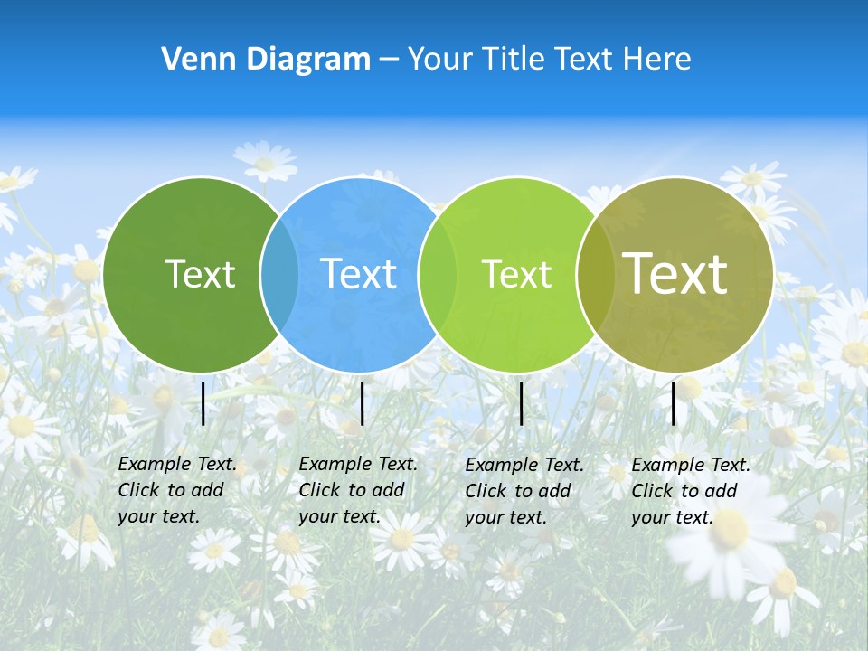 Businesswoman Leader Deal PowerPoint Template