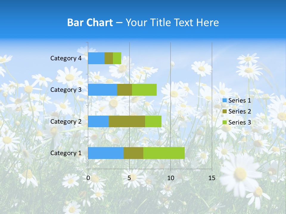 Businesswoman Leader Deal PowerPoint Template