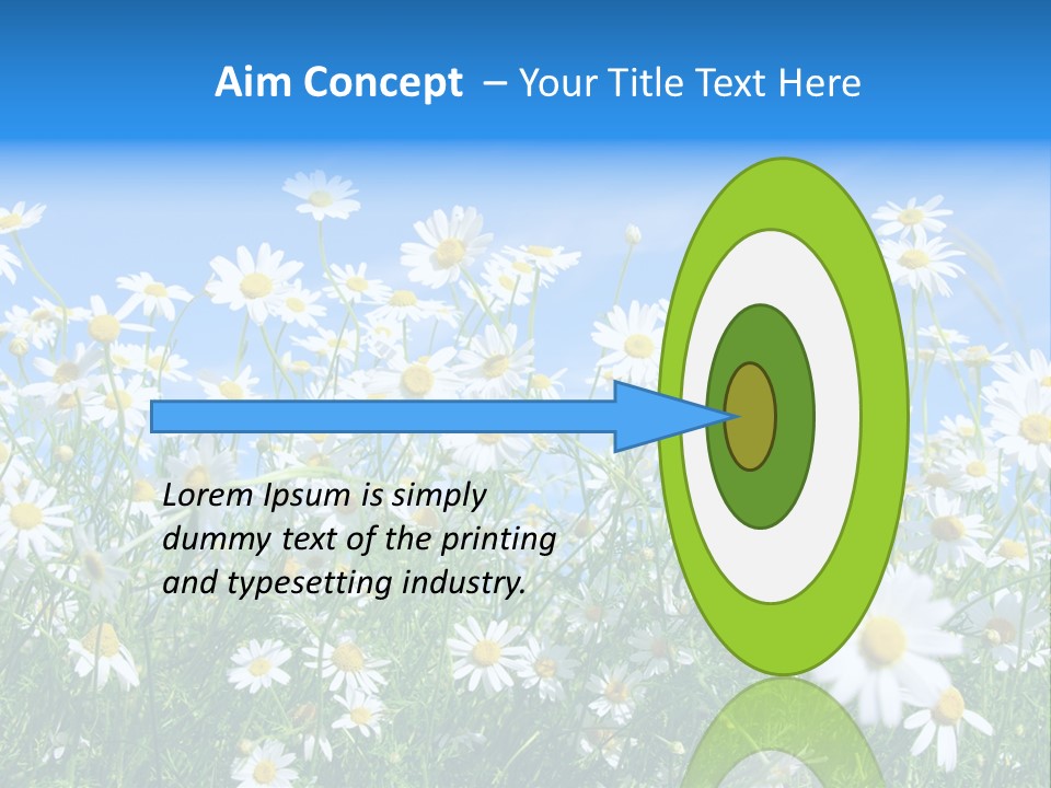 Businesswoman Leader Deal PowerPoint Template