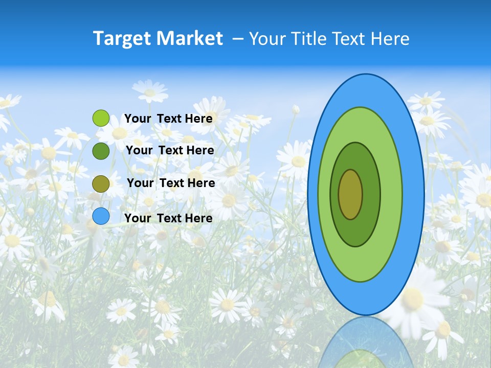 Businesswoman Leader Deal PowerPoint Template