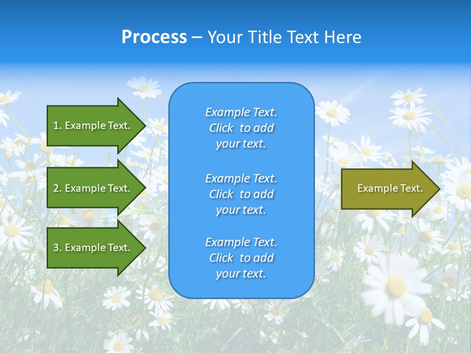 Businesswoman Leader Deal PowerPoint Template