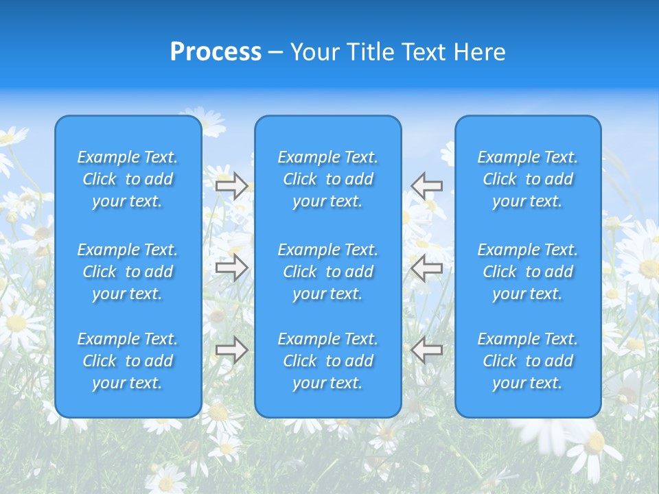 Businesswoman Leader Deal PowerPoint Template