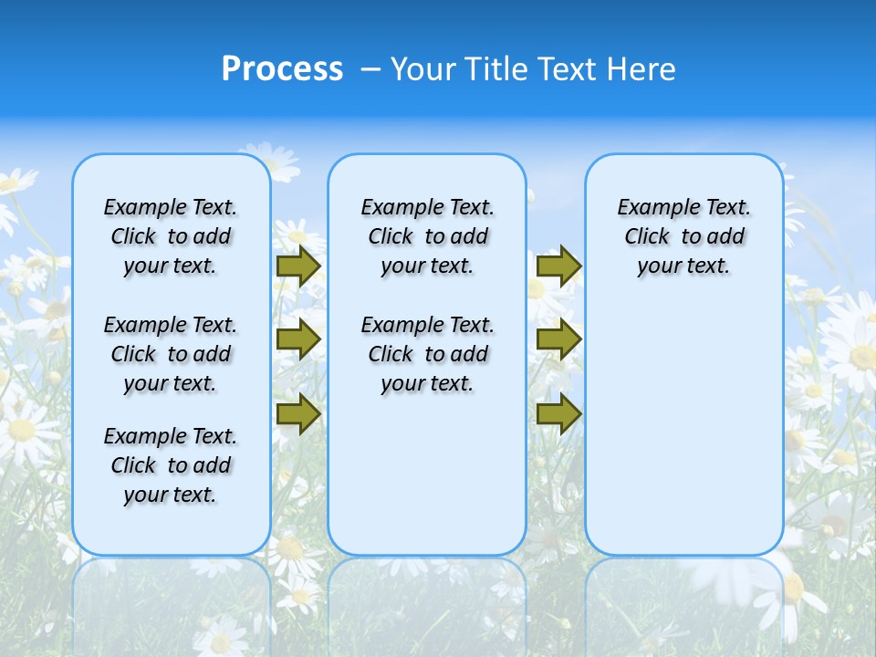 Businesswoman Leader Deal PowerPoint Template