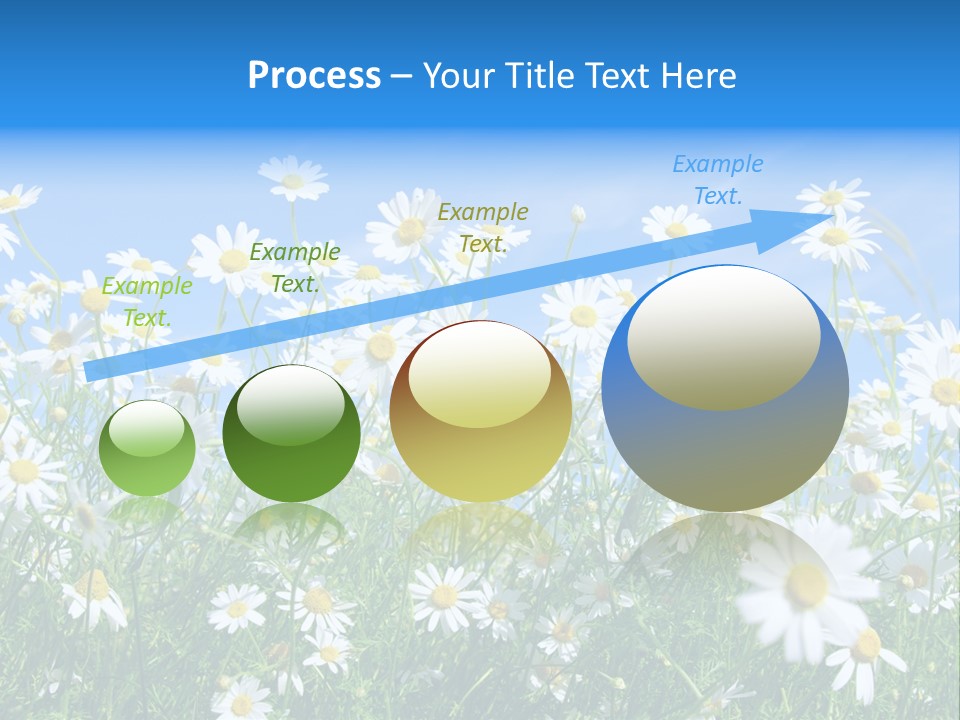 Businesswoman Leader Deal PowerPoint Template