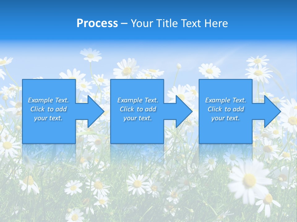 Businesswoman Leader Deal PowerPoint Template