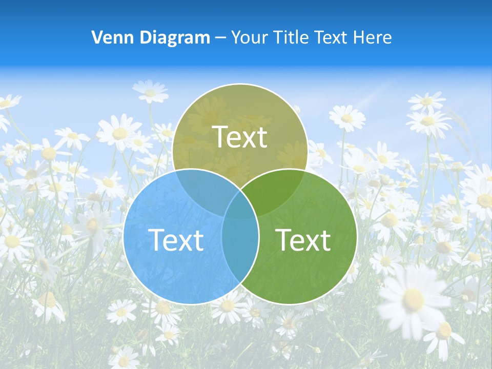 Businesswoman Leader Deal PowerPoint Template