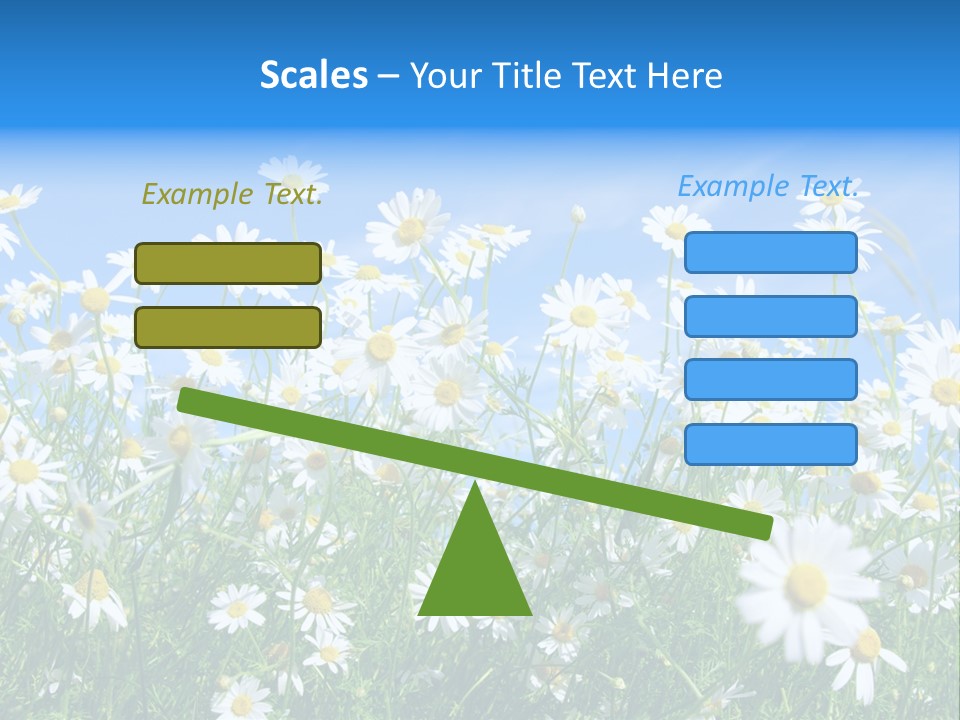Businesswoman Leader Deal PowerPoint Template