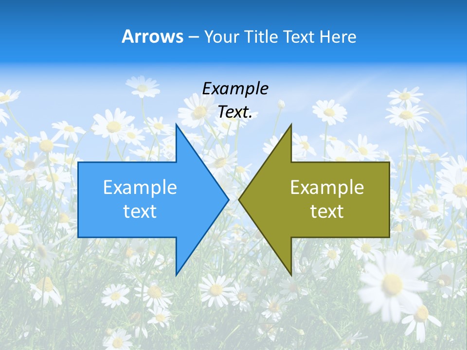 Businesswoman Leader Deal PowerPoint Template