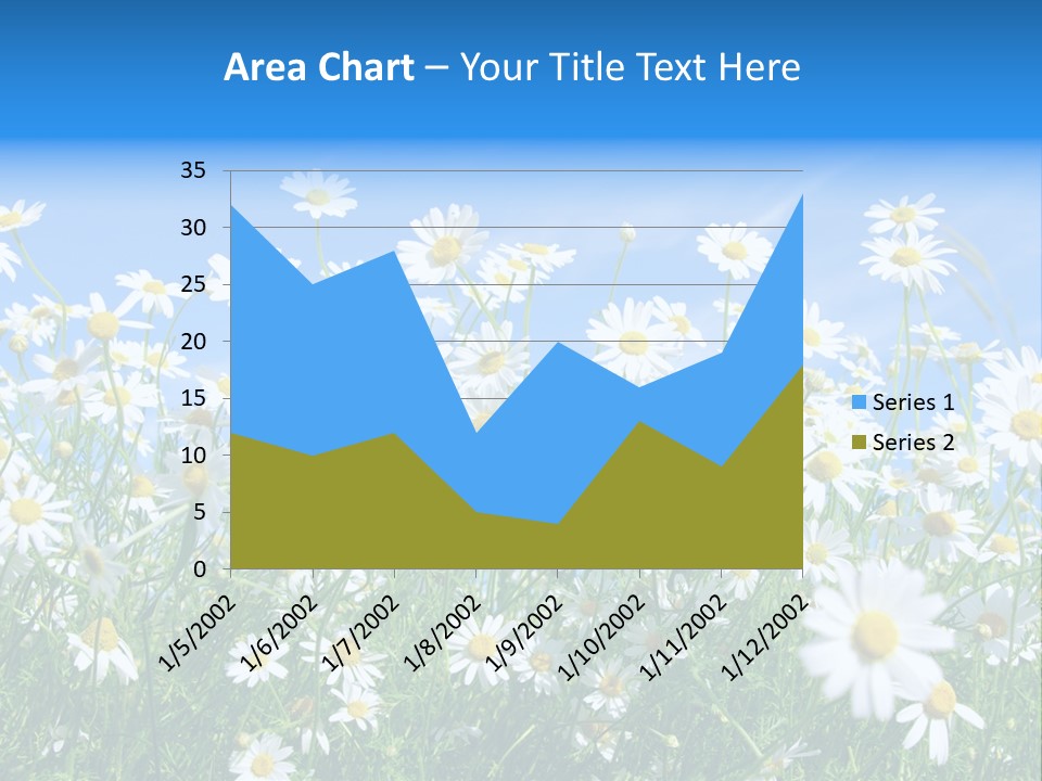 Businesswoman Leader Deal PowerPoint Template