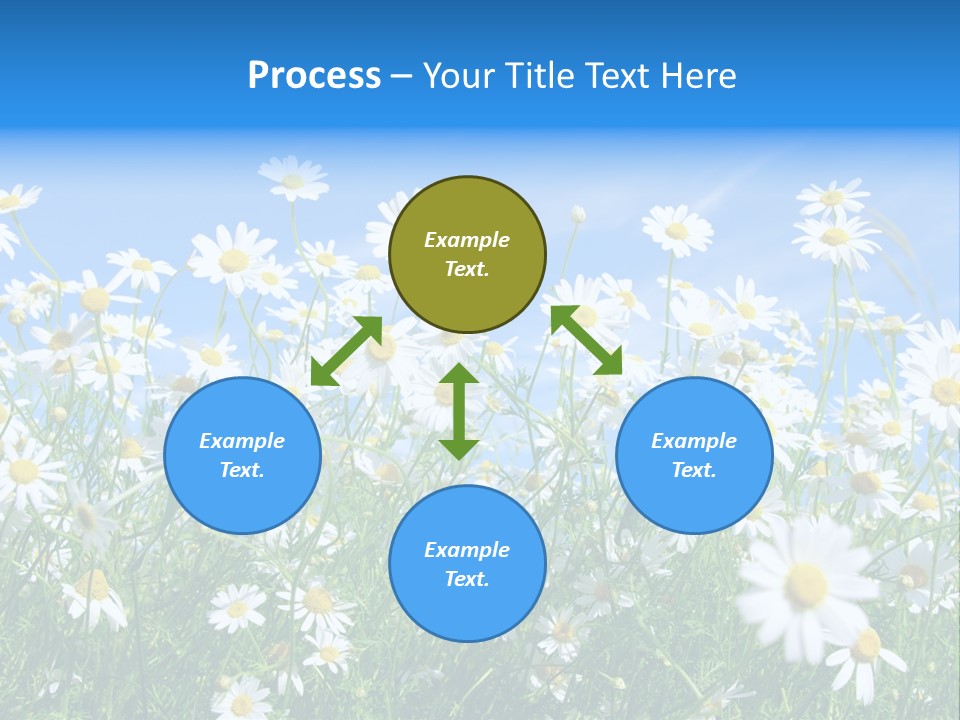 Businesswoman Leader Deal PowerPoint Template