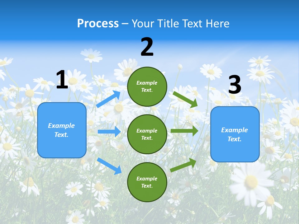 Businesswoman Leader Deal PowerPoint Template