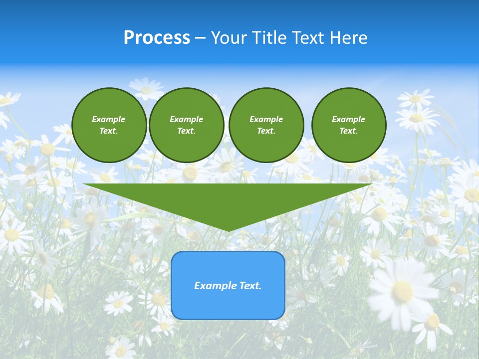 Businesswoman Leader Deal PowerPoint Template