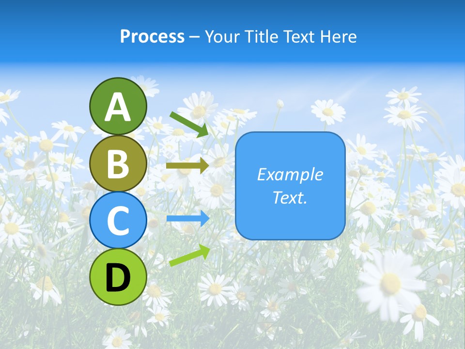 Businesswoman Leader Deal PowerPoint Template