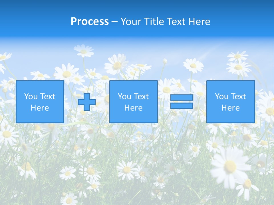 Businesswoman Leader Deal PowerPoint Template