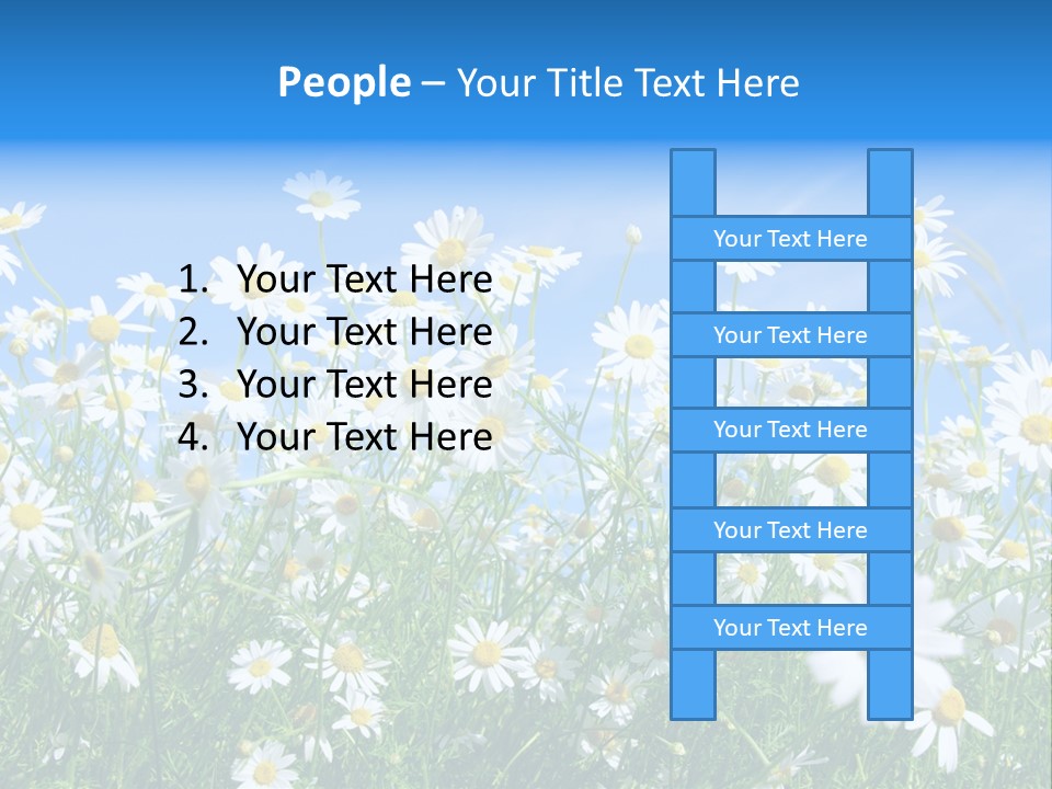 Businesswoman Leader Deal PowerPoint Template