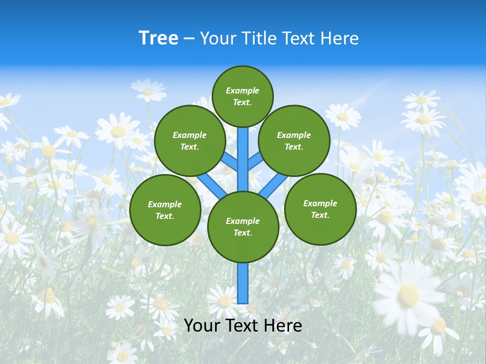 Businesswoman Leader Deal PowerPoint Template