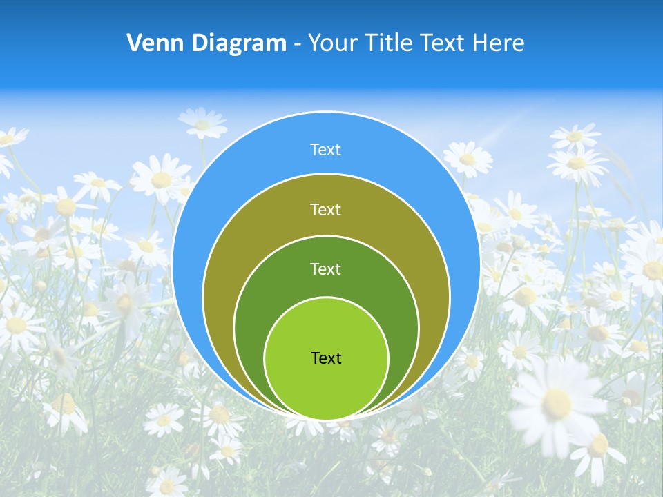 Businesswoman Leader Deal PowerPoint Template