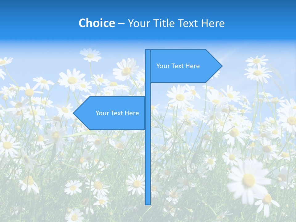 Businesswoman Leader Deal PowerPoint Template