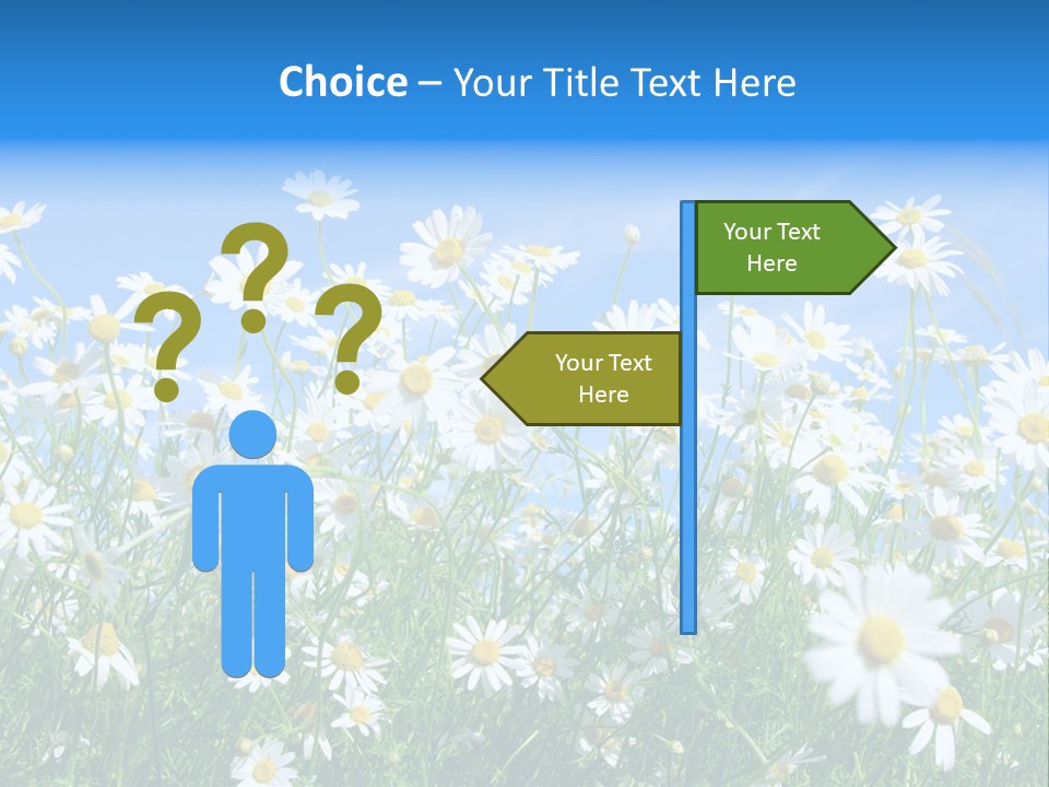 Businesswoman Leader Deal PowerPoint Template