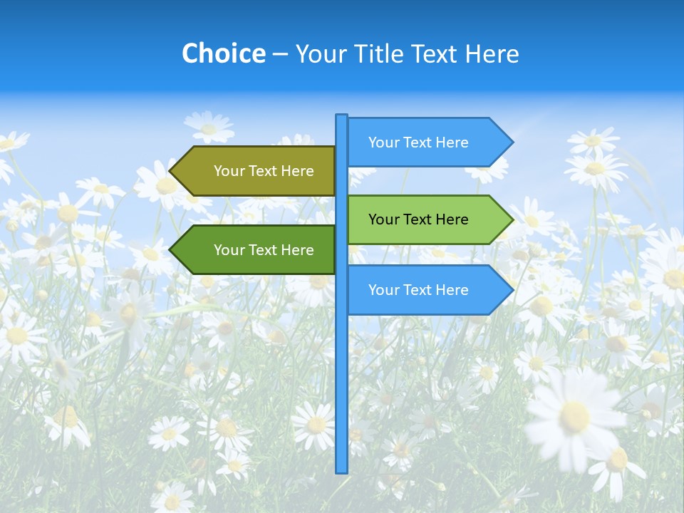 Businesswoman Leader Deal PowerPoint Template
