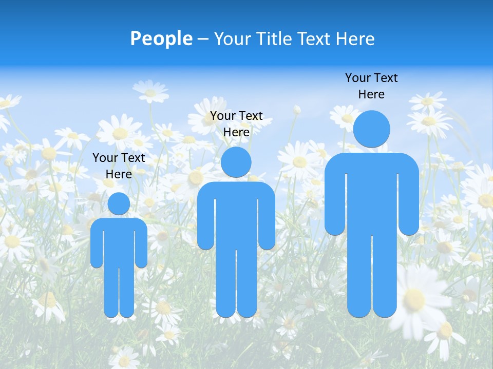 Businesswoman Leader Deal PowerPoint Template