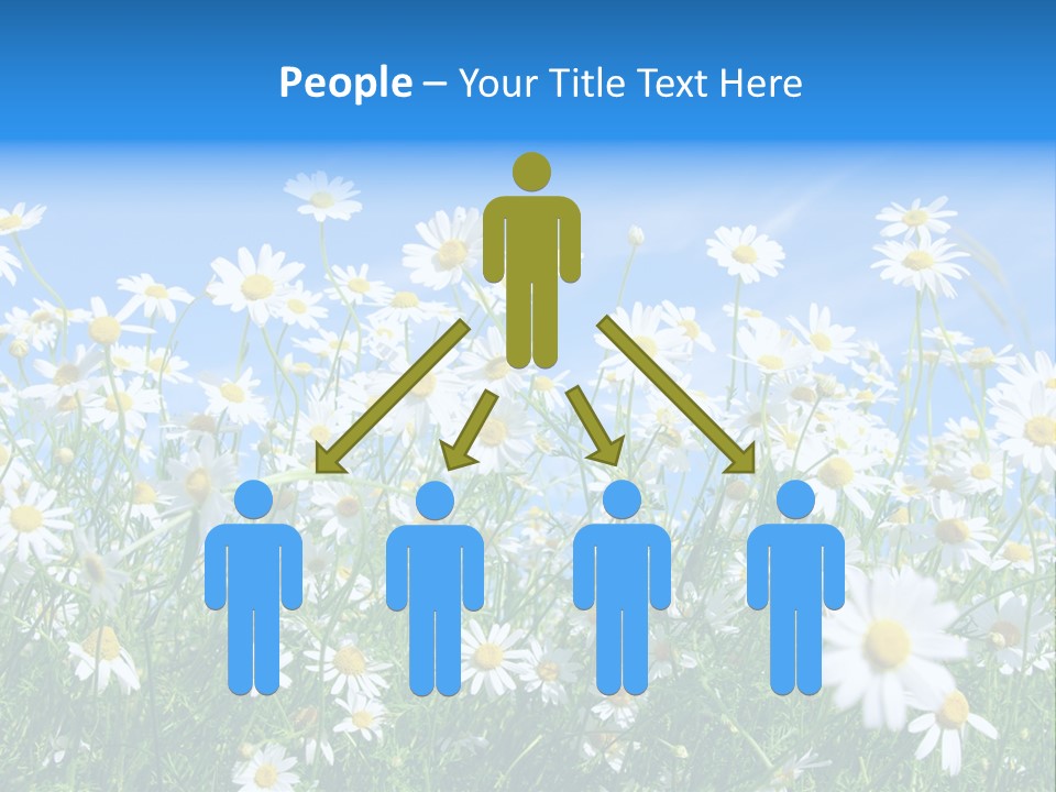 Businesswoman Leader Deal PowerPoint Template