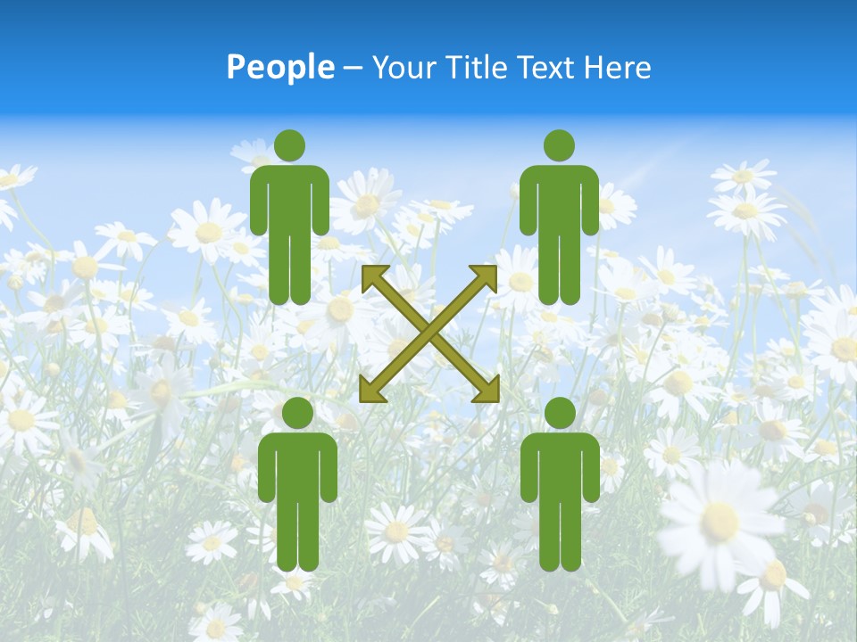 Businesswoman Leader Deal PowerPoint Template