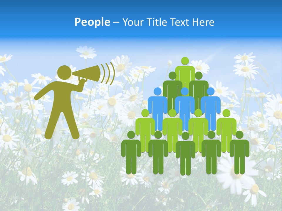 Businesswoman Leader Deal PowerPoint Template