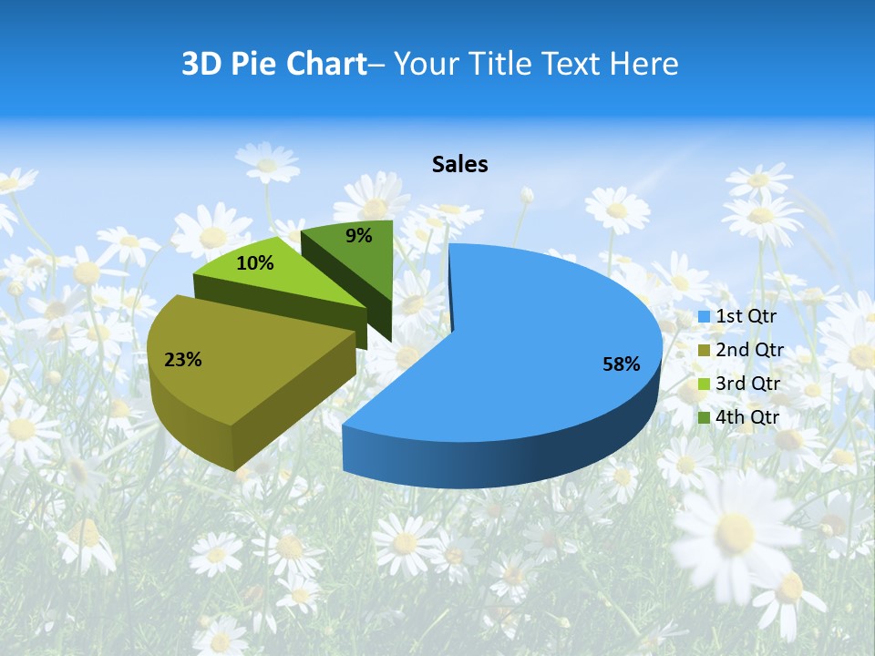 Businesswoman Leader Deal PowerPoint Template