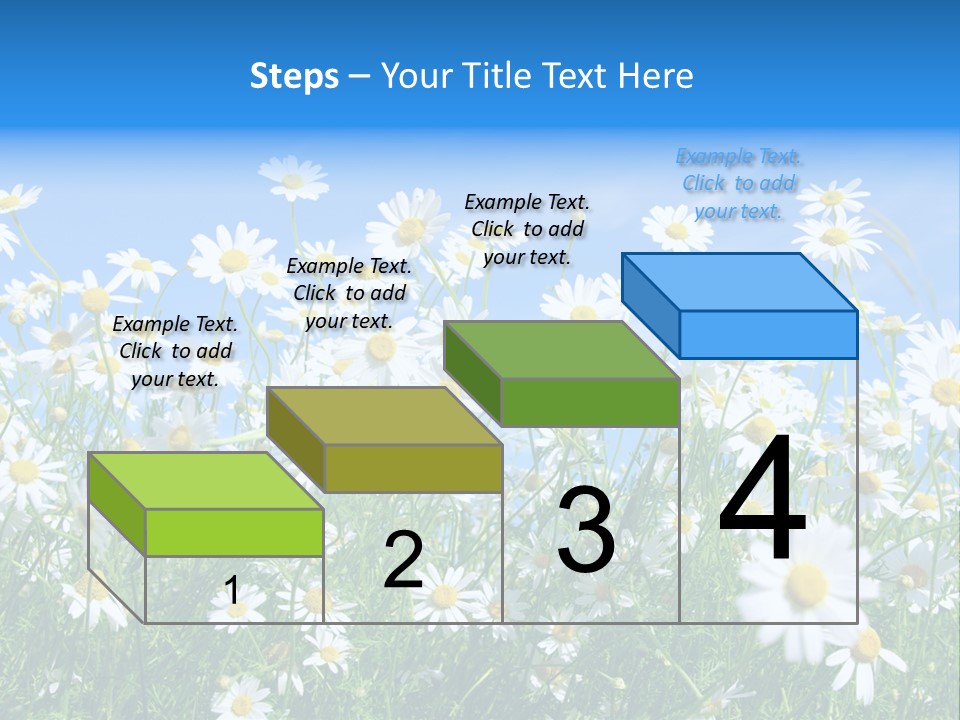Businesswoman Leader Deal PowerPoint Template