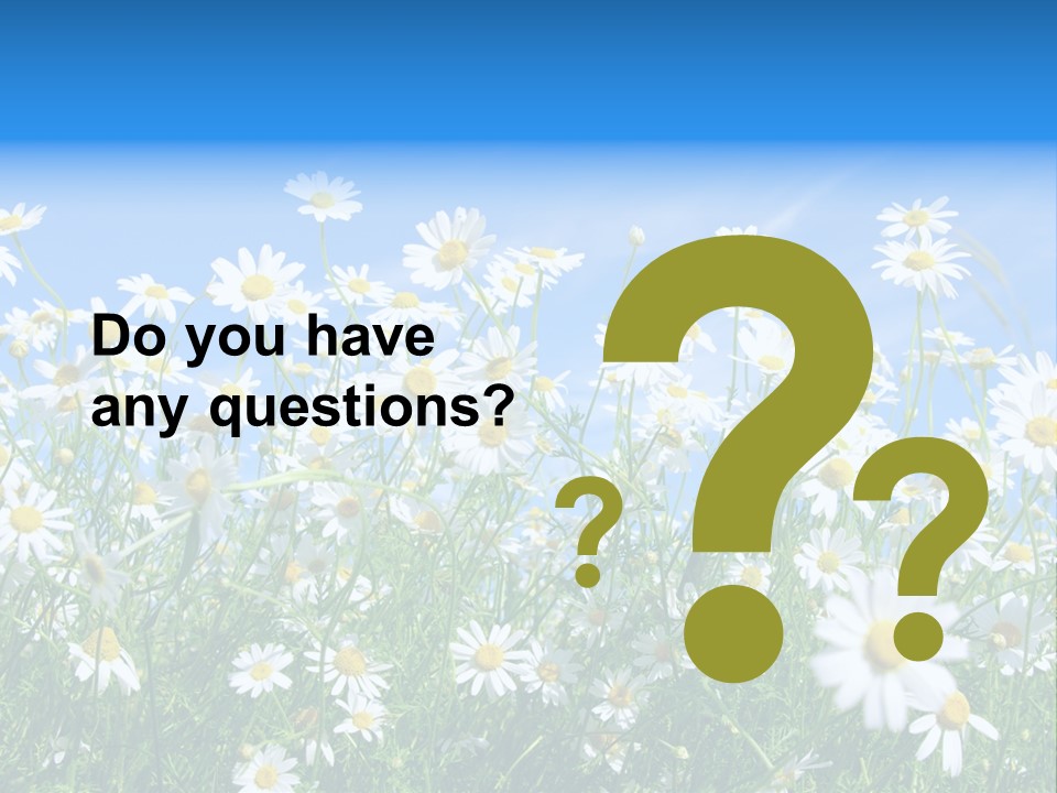 Businesswoman Leader Deal PowerPoint Template