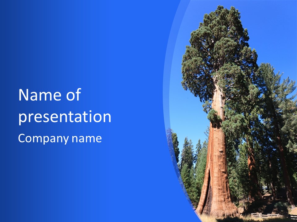 Sequoia National Park Green PowerPoint Template